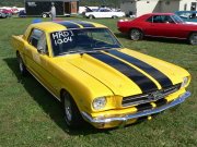 Mustang
